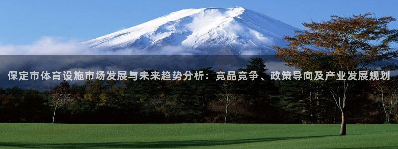 意昂5(KGAME)集团：保定市体育设施市场发展与未来趋势分