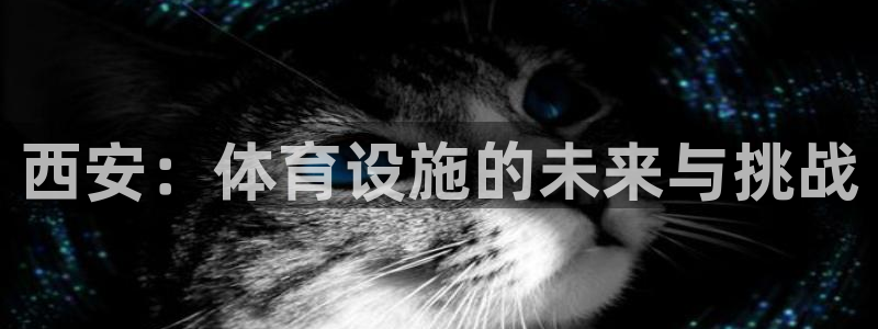 意昂5(KGAME)娱乐：西安：体育设施的未来与挑战