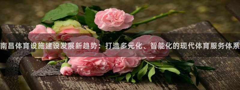 意昂5(KGAME)体育平台假的吗是真的吗：南昌体育设施建设