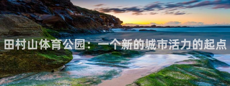 球王会体育