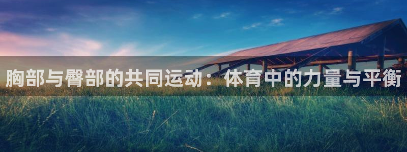 球王会体育