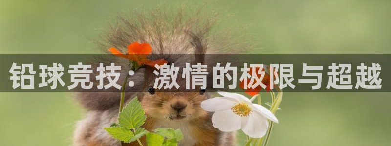 球王会体育