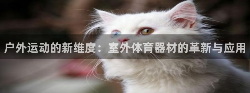 球王会体育