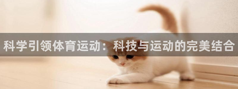 球王会体育