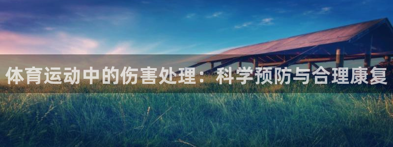 球王会体育