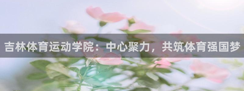 球王会体育