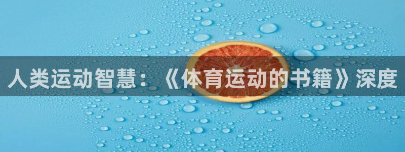 球王会体育