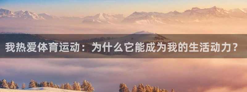 球王会体育
