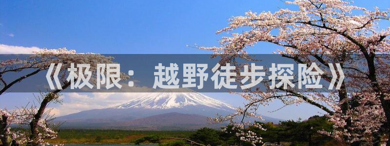球王会体育