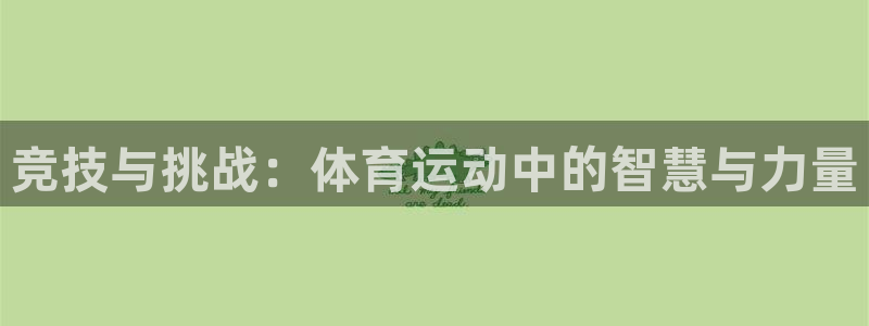 球王会体育