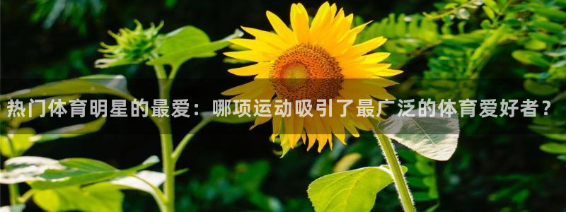 球王会体育