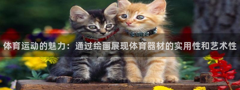 球王会体育