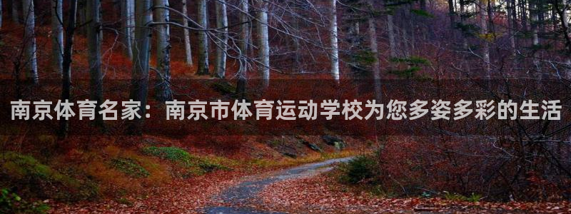 球王会体育