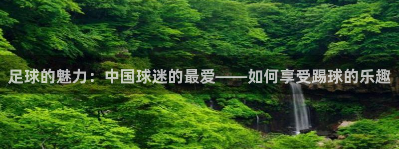球王会体育