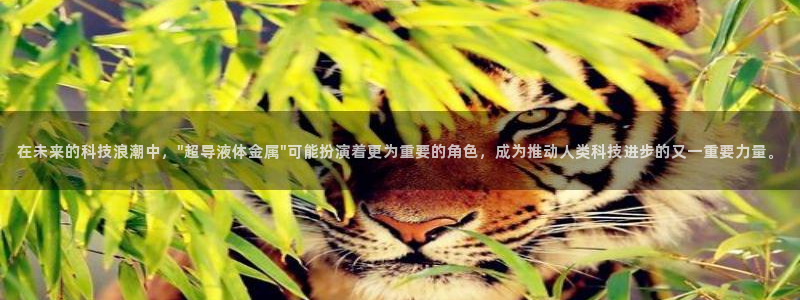 球王会体育