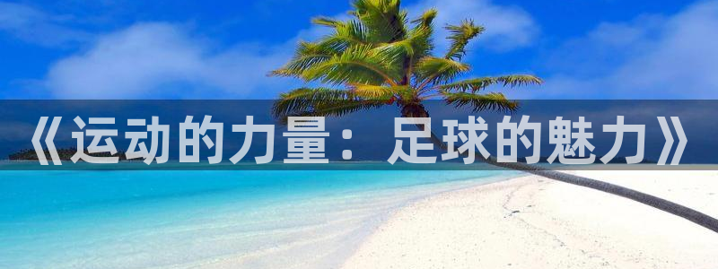 球王会体育