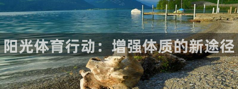 球王会体育
