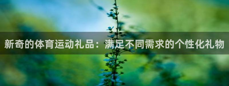 球王会体育